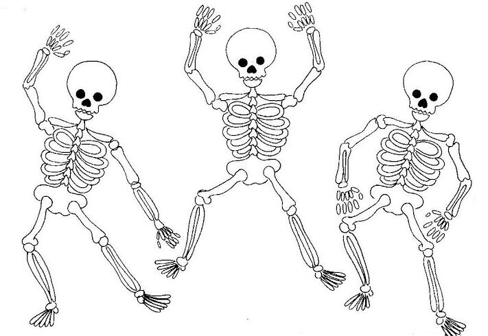 Las 5 mejores ideas para vestir calaveras de papel Las 5 mejores ideas para vestir calaveras de papel