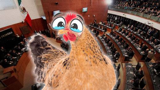 ¿Qué pasa en la Cámara de Senadores hoy 24 de abril? Una gallina fue sacrificada durante un rito “para la lluvia”