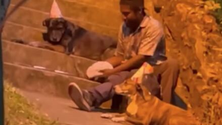 Hombre sin hogar festeja cumpleaños de sus perritos