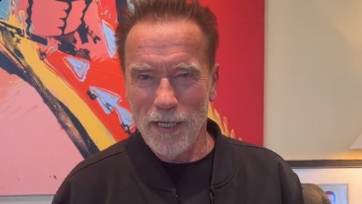 Arnold Schwarzenegger reconoce que tocó a mujeres sin su permiso y pide perdón