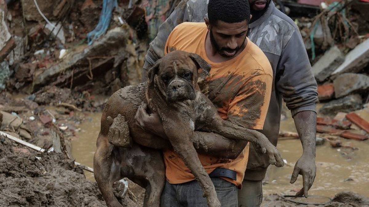 Tras inundación, buscó a su familia en el lodo y encontró a su perrito  (FOTOS)