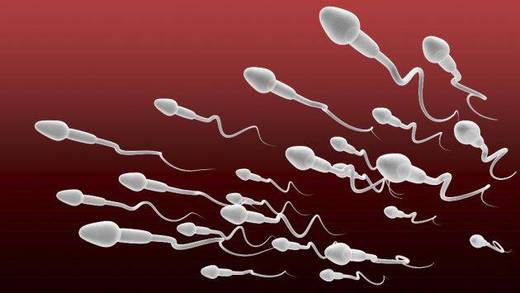 La calidad del esperma es tan mala que en 10 años los hombres serían infértiles