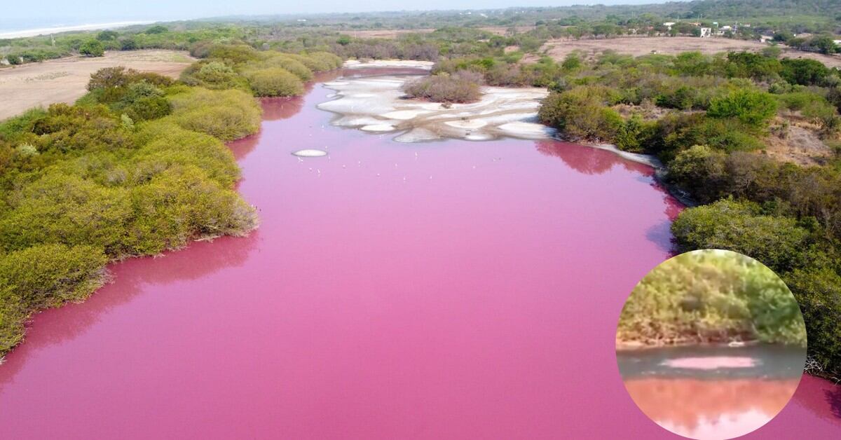 VIDEO: “La salina”, laguna en Oaxaca, se pinta de color rosa y no saben por  qué