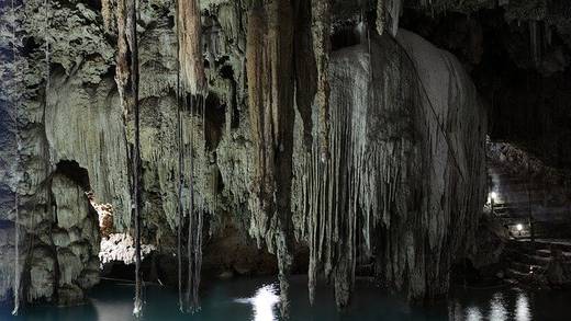 Turistas enferman de histoplasmosis tras visitar cenotes en Yucatán
