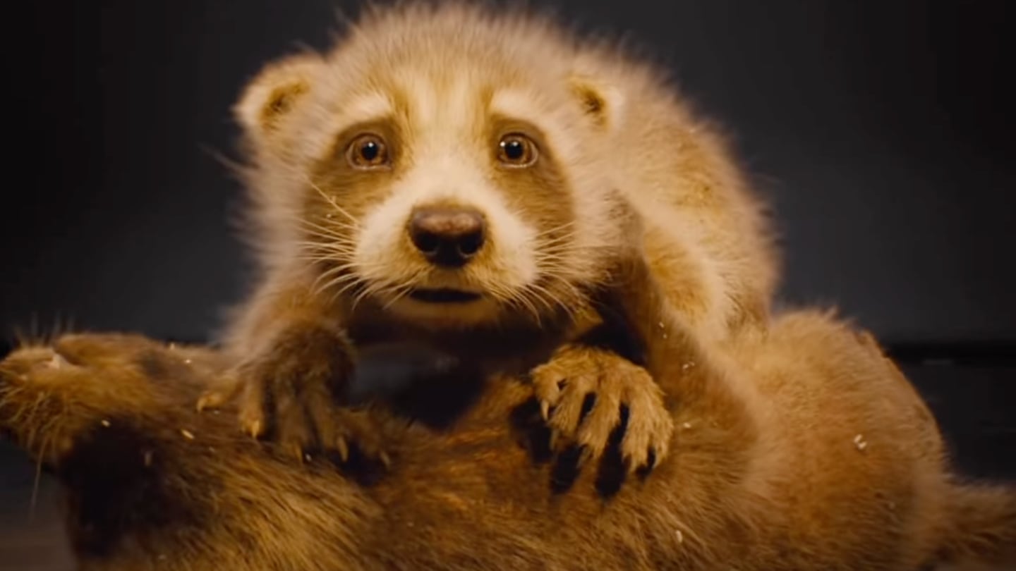 Rocket Raccoon bebé es lo más tierno de Guardianes de la Galaxia 3 y James  Gunn lo sabe (VIDEO)