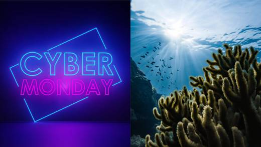 ¿Qué se celebra el 27 de noviembre? Hoy es el Cyber Monday en México y el Día Nacional de la Conservación