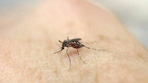 ¿Qué pasa con el dengue en Guatemala? Es una emergencia nacional por estas razones