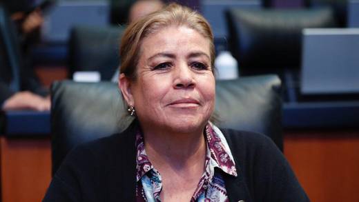 Senadora de Morena pide usar los impuestos de Ricardo Salinas Pliego para el Fondo de Pensiones del Bienestar