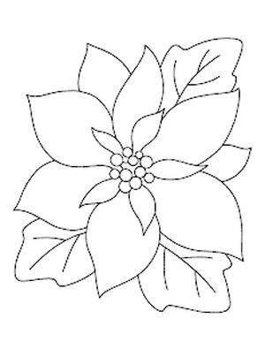 Los 5 mejores dibujos de flor de nochebuena para imprimir y colorear Los 5 mejores dibujos de flor de nochebuena para imprimir y colorear