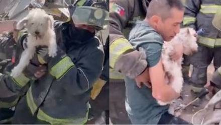 Rescate de perrito tras explosión en la Pensil