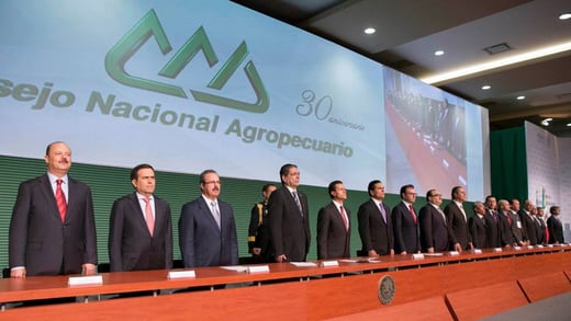 Señala Peña Nieto que Sistema Nacional Anticorrupción podría materializarse en enero de 2015