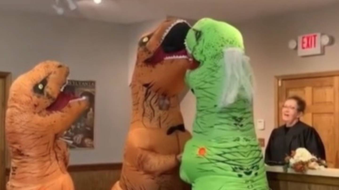 novia salvar aerolíneas VIDEO: Pareja se casa disfrazada de dinosaurios
