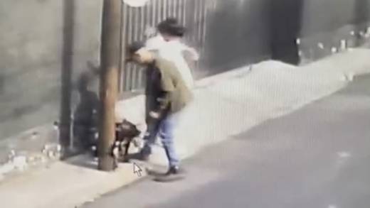 VIDEO: Perro es amarrado y abandonado en poste de Tlalpan; lucha para safarse y buscar a sus dueños