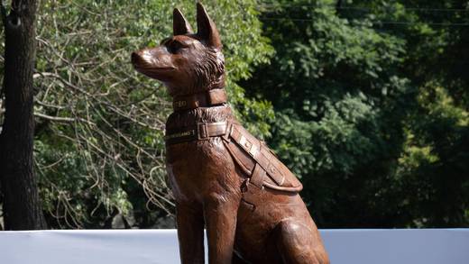 Proteo: Sedena le revela estatua en Campo Marte por su legado como perro rescatista
