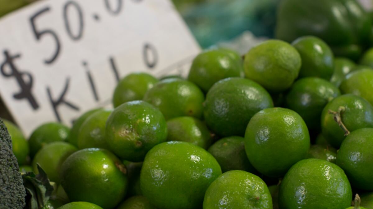 Precio del limón sigue rondando los 60 pesos por kilo en gran parte del ...