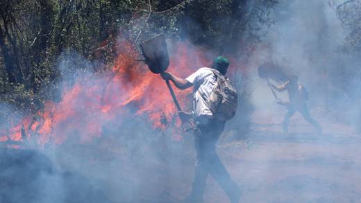 El triste número de incendios forestales en México hoy 15 de mayo