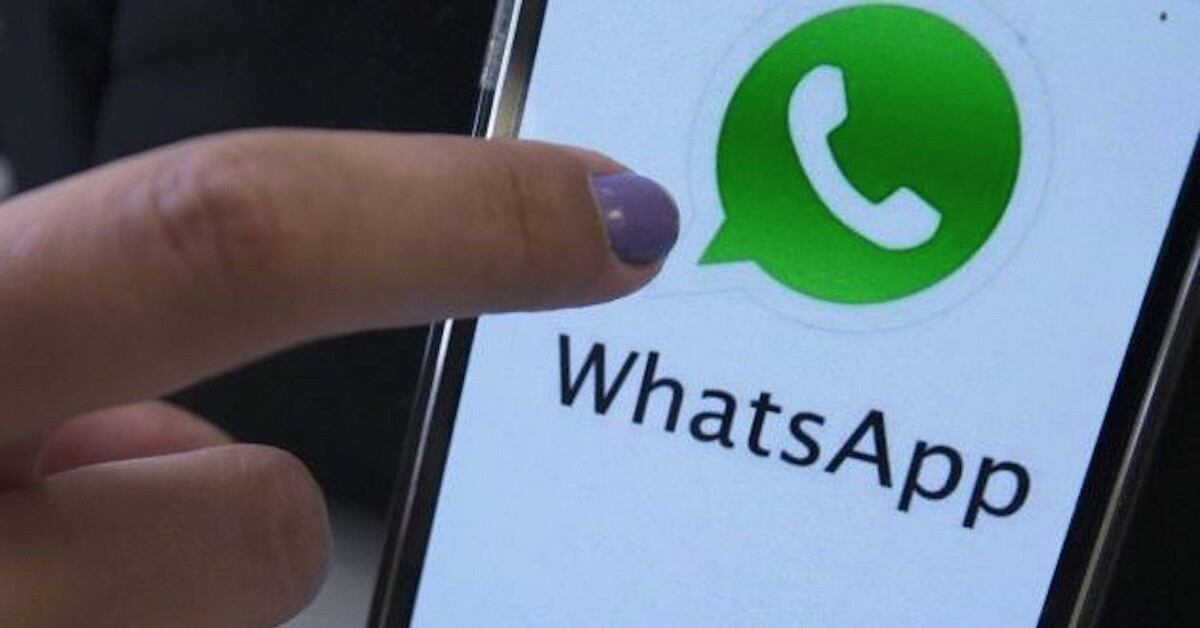 ¿Cómo actualizar WhatsApp?  3 pasos para lograrlo en Android e iOS