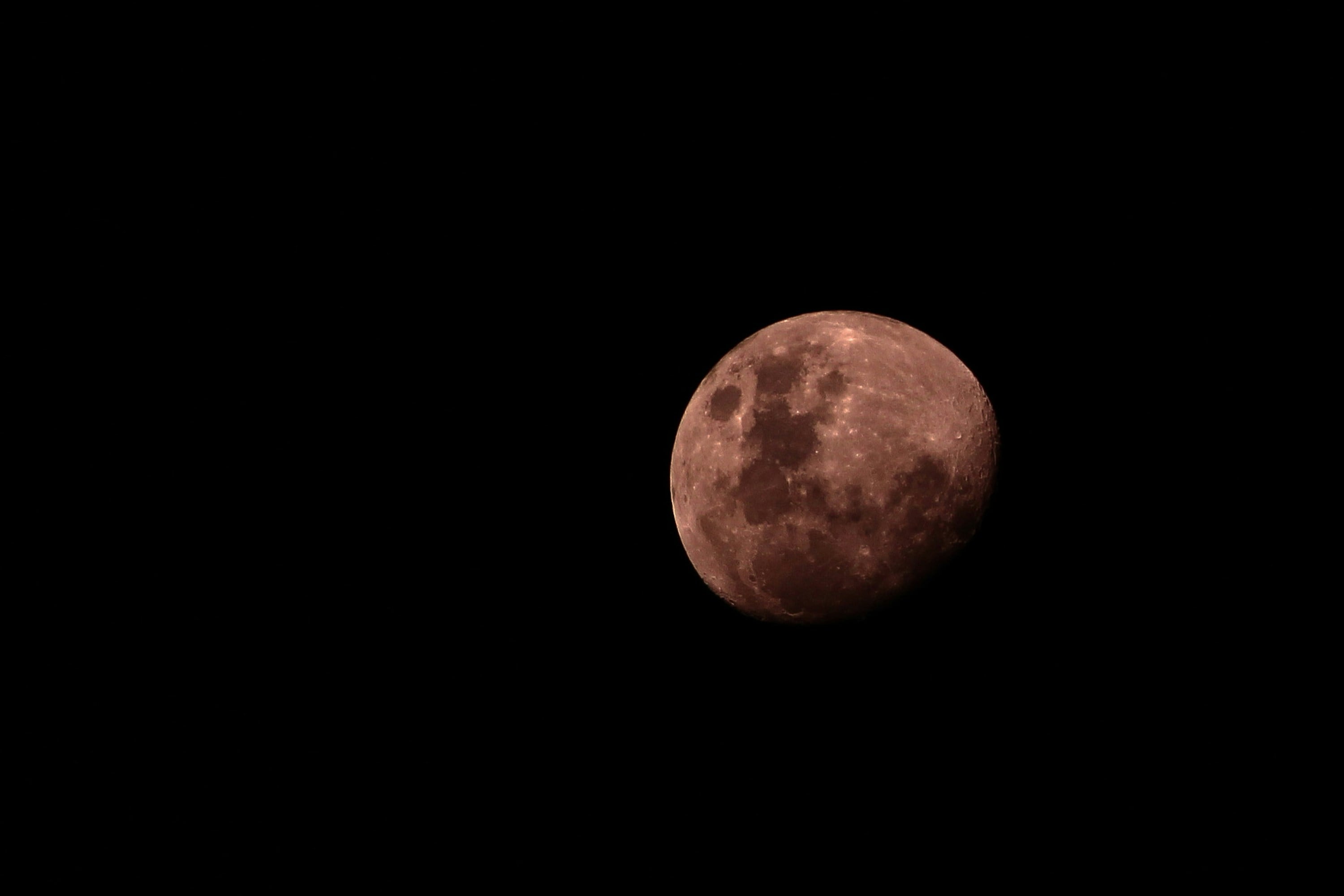 Luna de Ciervo