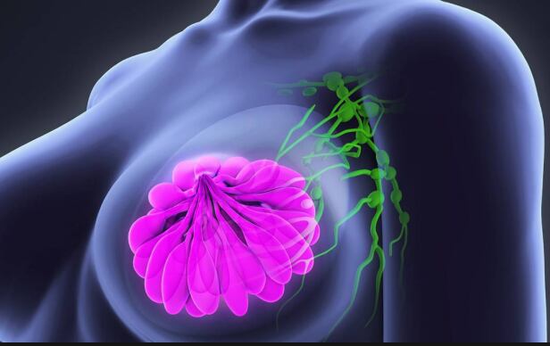 Esta primera causa de muerte, es motivo de gran atención para la comunidad en general, además de quienes se preparan en las ciencias y el cuidado de aquellas que lo demandan.