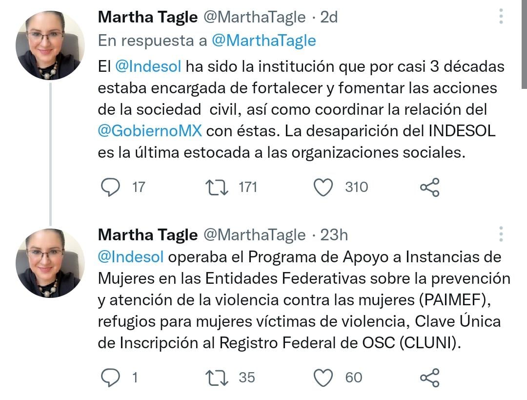 Exdiputada Martha Tagle