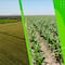 Grupo Bimbo, la empresa mexicana que está llevando sustentabilidad al campo.
