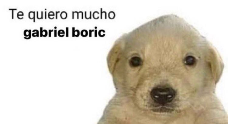 Gabriel Boric defiende a Taylor Swift