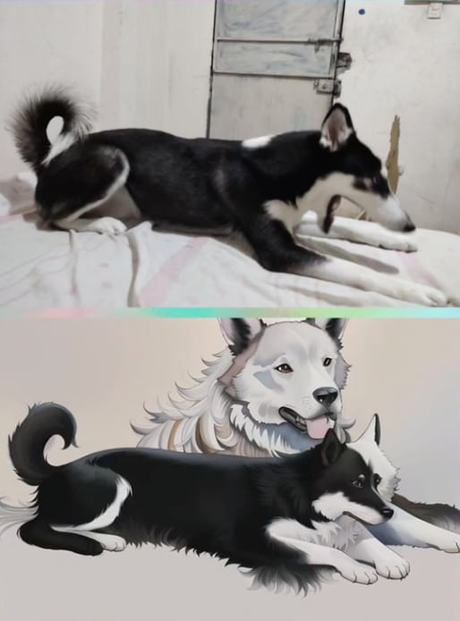 Filtro de TikTok le muestra al fantasma de su perro