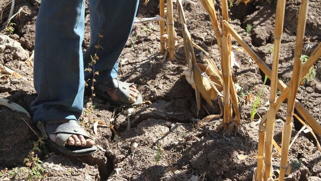 Crisis en el campo mexicano. Demanda de activación del campo mexicano.