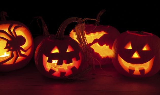 Calabaza. ¿Por qué se celebra Halloween?