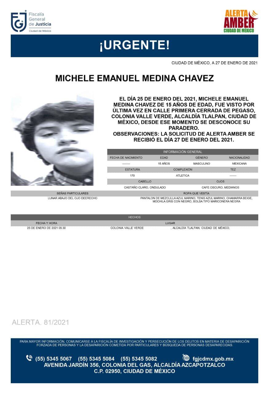 Ficha de búsqueda de Michele