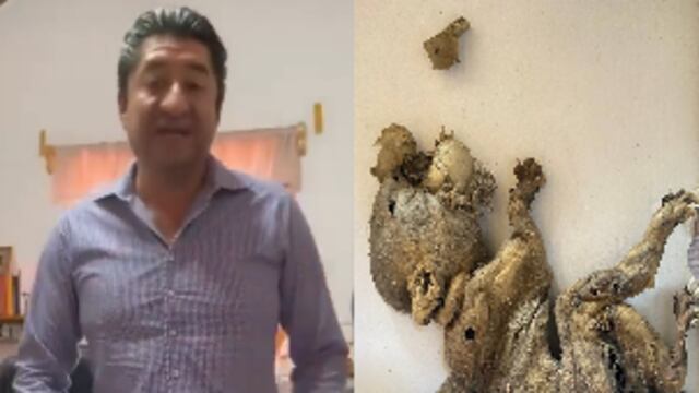 Extraña criatura fue encontrada en Hidalgo; cerca del Bosque de los Duendes