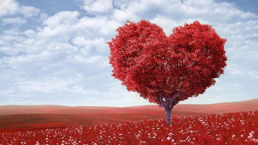 Corazón.