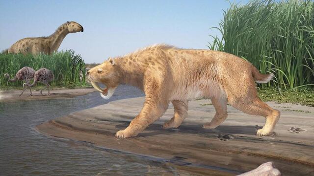 Tigre Dientes de Sable