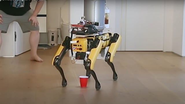 Perro robot que orina cerveza