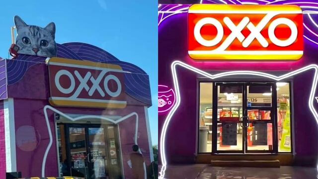 Este es el Michi Oxxo que se ha hecho viral
