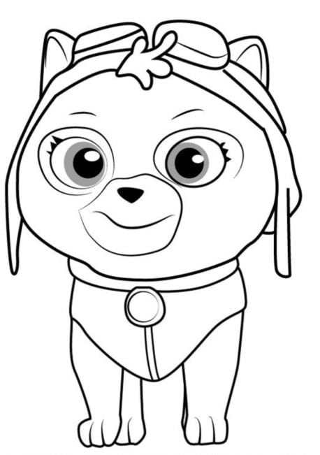 Dibujo de Rubble versión de Cat Pack por el Día del Gato para colorear 2