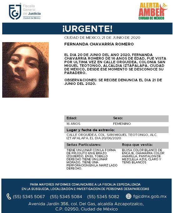 Ficha de búsqueda de Fernanda.