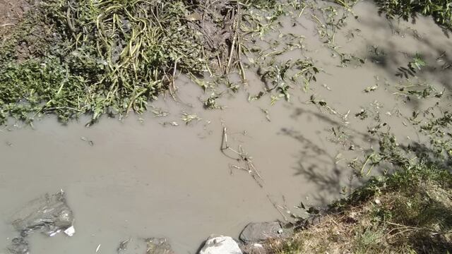 Derrame de mina operada por Grupo México