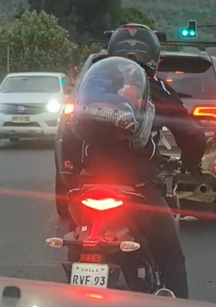 Perrito se convierte en fiera dentro de una mochila