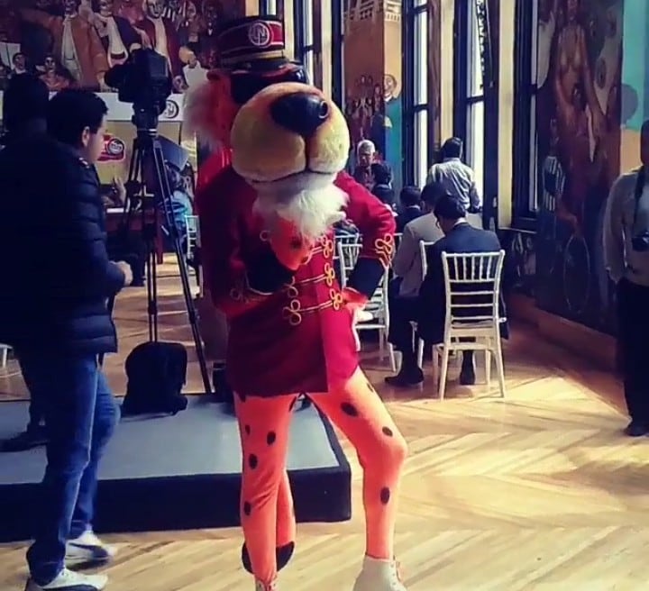 Botarga de Chester Cheetos