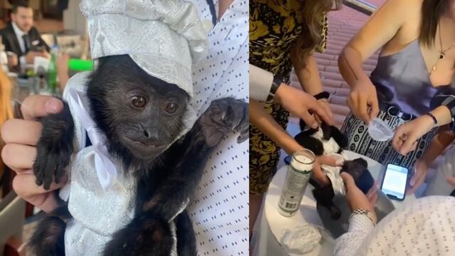 Bautizan a un chango