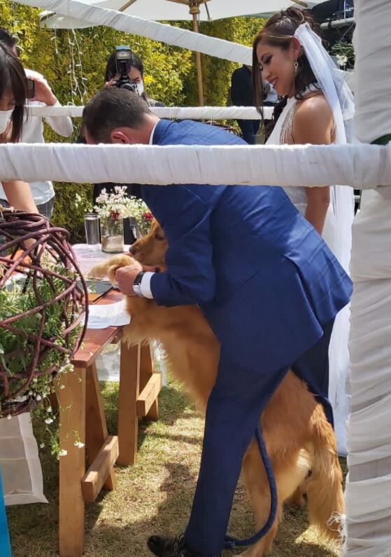 Perrito testigo de boda