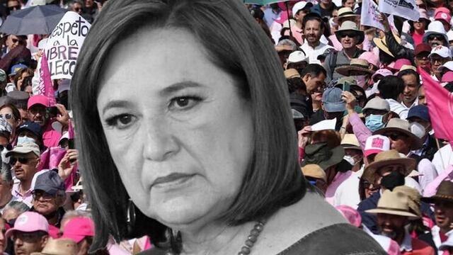 ¿Marea Rosa es una farsa? Mario Delgado revela que Xóchitl Gálvez registró la marca Fuerza Rosa desde 2023