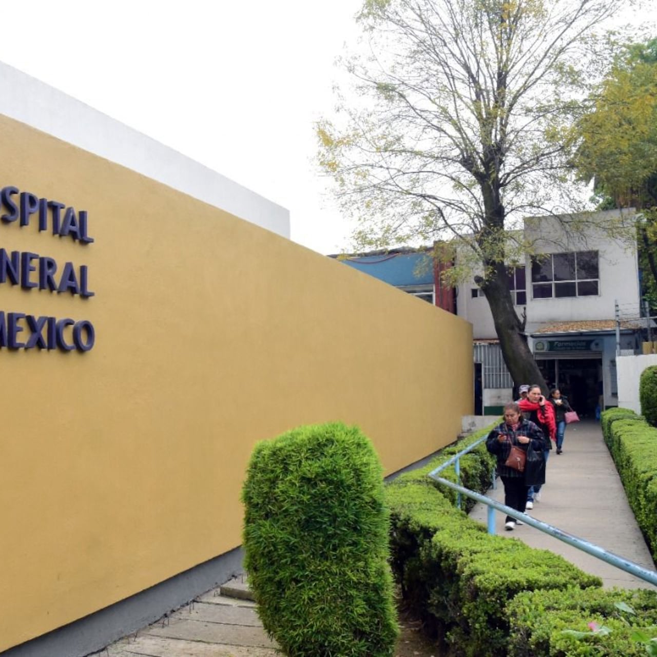 Médicos están estables tras brote de Salmonella; Hospital General mantiene operación