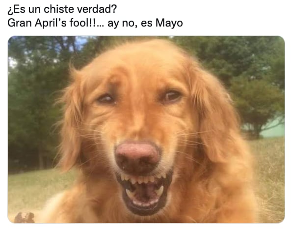 Meme de Ari Borovoy