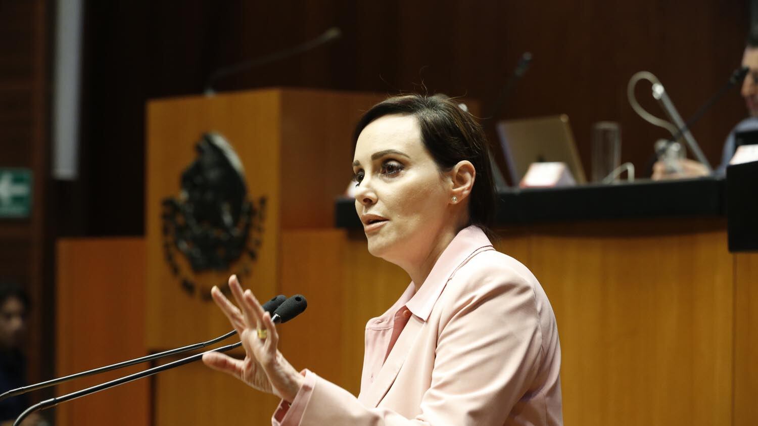 El apodo que Lilly Téllez le puso a Adán Augusto López en la Cámara de Senadores y su explicación