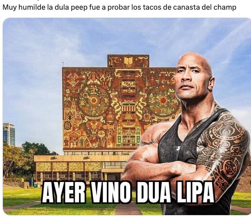 Usuario reacciona a la vista de Dua Lipa a CU.