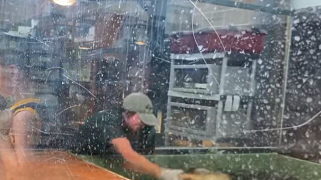 Entrenadora es mordida por un caimán.