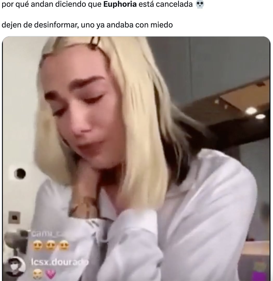 Rumores de la cancelación de Euphoria, provocan memes