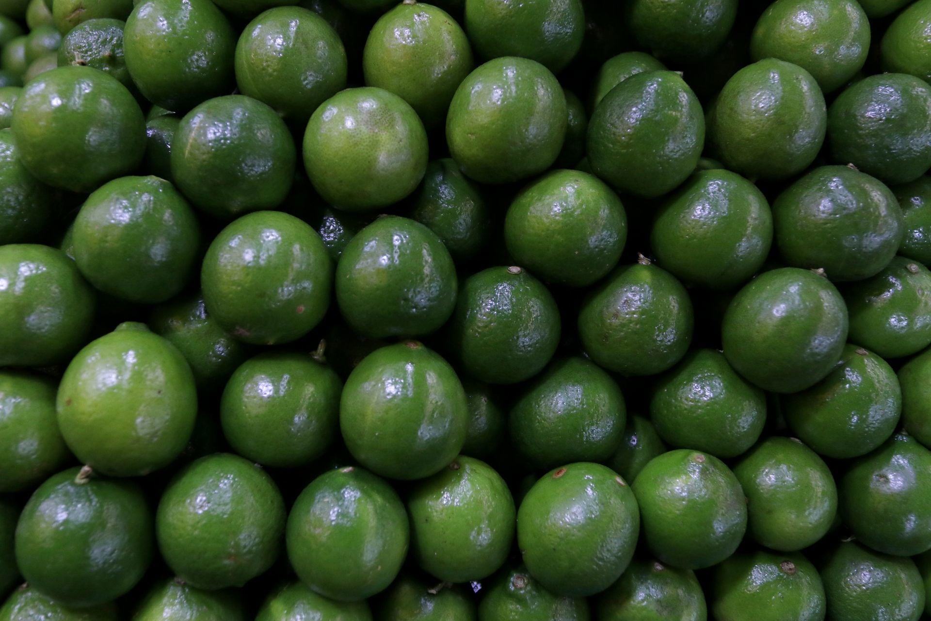 Limón